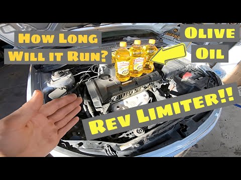 Will it Run On Olive Oil? Shocking Results! Cooking Oil for Engine Oil.