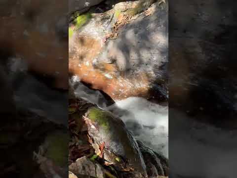 Cascadas CAÑAVERALES San Fernando Morazán