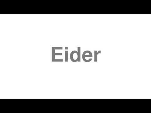 How to Pronounce "Eider"