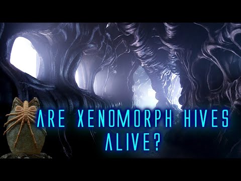 Xenomorph Hives Explained / Could they be Alive?