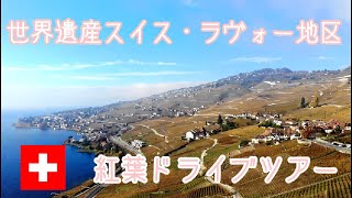 【スイス世界遺産】紅葉ワイン畑をお届け！  #73
