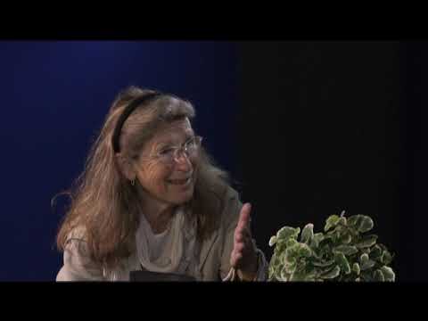 Intervju med Barbro Erling