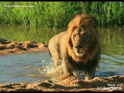 Under gee - welcome 2020 freestyle.