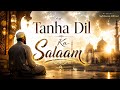 Tanha Dil Ka Salaam Heart Touching Islamic Nasheed 2026 Emotional Sufi Kalam Sufi Feeza Official