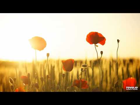 Formatia Rapsodia - Hora de la Nord