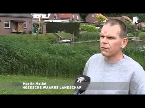 Rijnmond Nieuws - 25 juni 2012