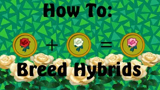 How to: Breed Hybrid Flowers (Animal Crossing: New Leaf)