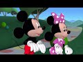 Pluto Lends A Paw Clips Cause It Was Requested