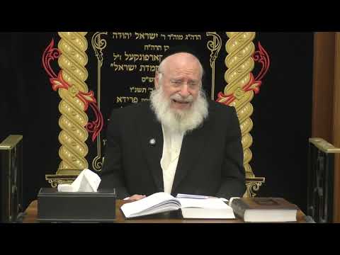 Davening for a Sick Person | Weekly Shiur by Rav Asher Weiss Shlit"a (Be'halos'cha 5786)