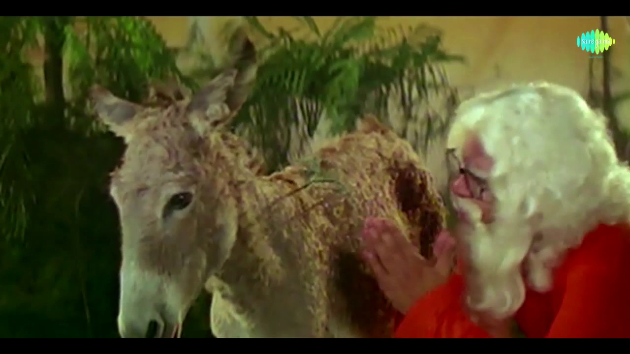 Ajab Sawari Gazab Sawaar Lyrics | Mera Dil Tere Liye | Jolly Mukherjee, Shailendra Singh, Mohammed Aziz, Sukhwinder Singh | Ravinder Rawal