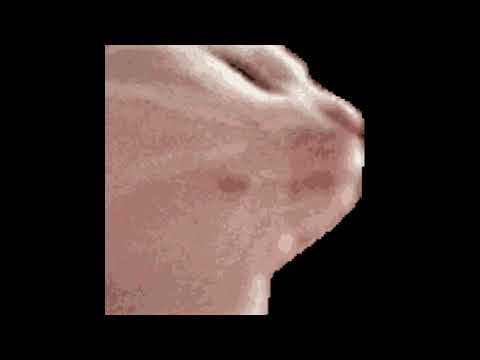 Six Foe Seasons slowed+reverb