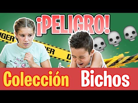 Descubre los BICHOS más PELIGROSOS y VENENOSOS 🕷// Familukis