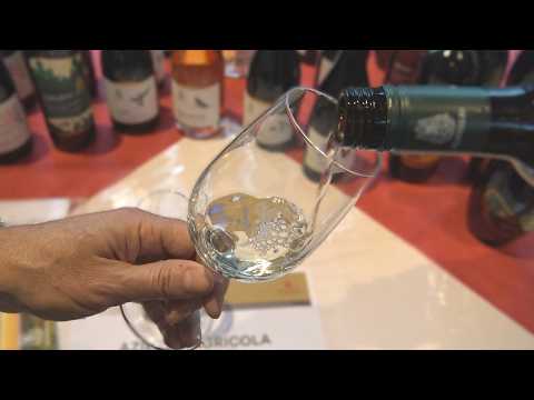 Weine aus dem Oltrepò Pavese in Südtirol: Die Philosophie von Montelio mit Edoardo Scanavino