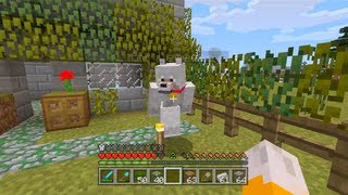 Minecraft Xbox - The Big Dog [97]