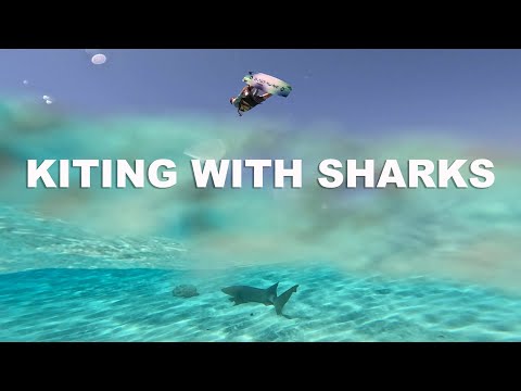 Kiteboarding with sharks