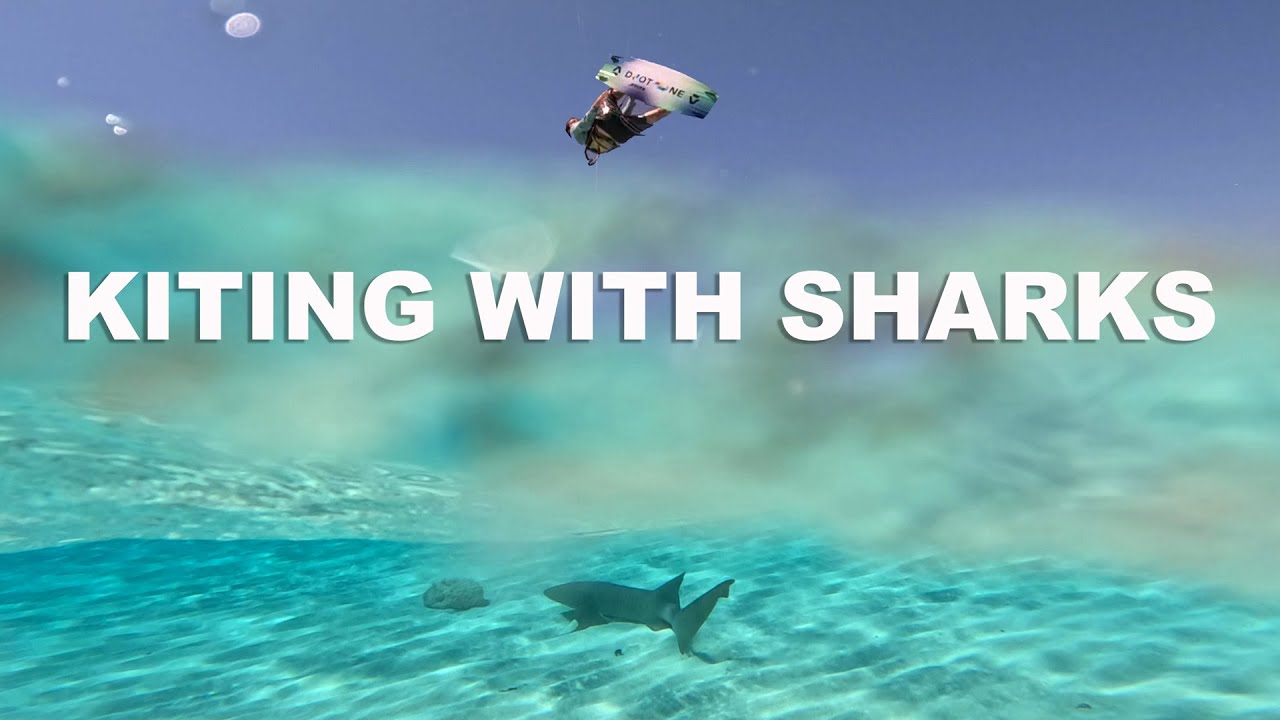 Kiteboarding with sharks