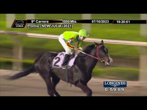 231007 c09 AMIGO CHARRUA