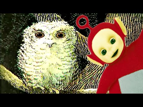 Baby Owls | Teletubbies - Classic! | Videos for Kids | WildBrain Little Ones