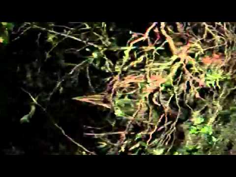 Evidence - Trailer (English)