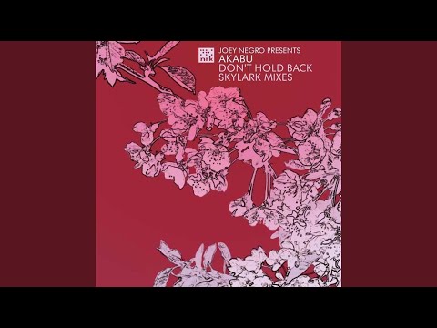 Don't Hold Back (Skylark Main Mix)