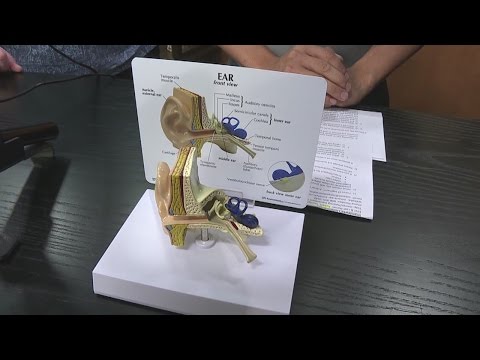 Miracle Ear: Easy hearing evaluation with video otoscope