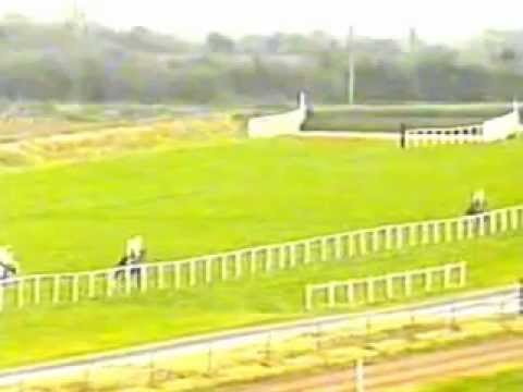 Hattons Grace Hurdle 1999