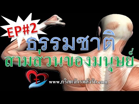 ถุงยางอนามัยที่เพิ่มสมาชิก Exciter สำหรับประวัติผู้หญิง