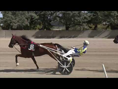 Ippodromo dei Sauri -  2' corsa del 29.9.2022