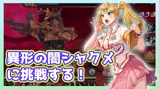 【キンスレ】異形の闇シャクメに挑戦！（大きいシャクメ）ー『キングスレイド』実況プレイ#82