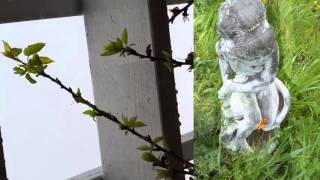 March Rain with Alexandre Desplat