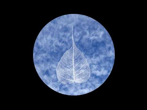 181005 Sitting Up Straight \ \ Thanissaro Bhikkhu \ \ Short Dhamma Talk