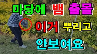 (나눔이벤트) 농촌필수아이템 / 5월부터 뱀의 활동이 시작합니다 / 뱀 강력기피제 / 전원생활 필수아이템 /…