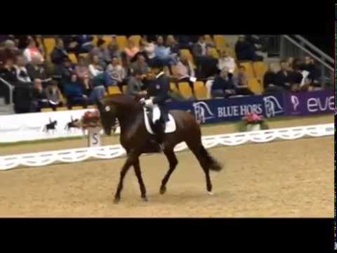 181015 GP KUR Gonçalo Carvalho e Batuta - Odense World Dressage Cup 2015