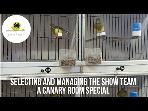 Selecting and Managing the Show Team -A Canary Room Special