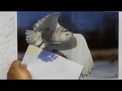 Part 1 Temperature of White  Painting the Snowy Owl  Mixing Our Colors