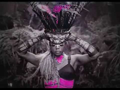 Kelis-Emancipate AMD lyric Video