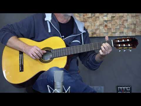 Rachonsky 192 Premium Guitar