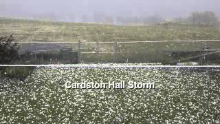 preview picture of video 'Cardston Hail Storm'