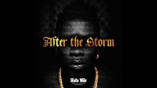 Shatta Wale - After The storm [Intro] (Audio Slide)