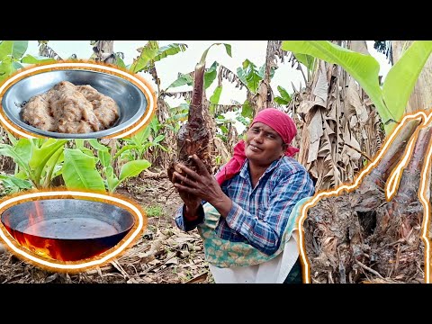 How to plant a banana tree in your backyard easily
