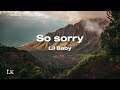 Lil Baby So Sorry Lyrics Lyricsvideo 4K