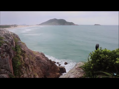 TJ UFSC 10/05/19 - Pinturas rupestres na Praia do Santinho