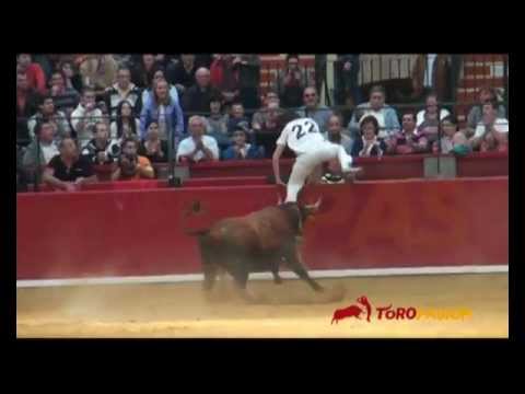 Toropasión - XXIX Concurso Nacional de recortadores con anillas en Zaragoza