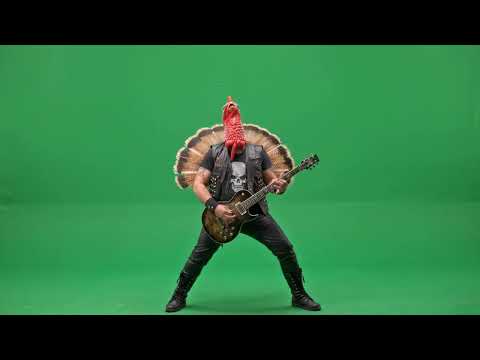The turkey plays the electric guitar 4k green screen #hardrock #electricguitar