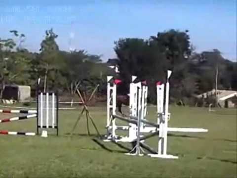 PELLETS PLANET VIDEO