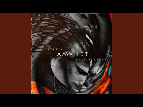 AMVNET