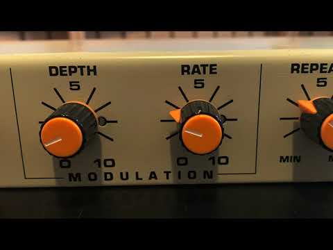 Vintage Chandler Stereo Digital Echo Sound Demo - Early 90's Delay Unit - RKFX