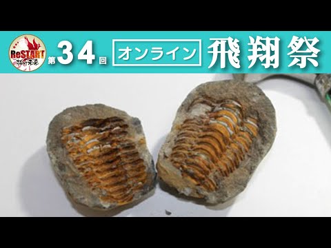 昔の生き物を見てみよう！ Ver 2