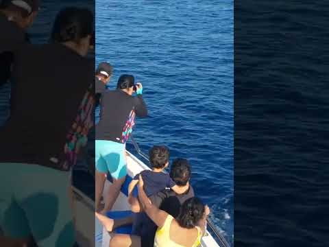 You Won't Believe What We Found on Barren Island Andaman