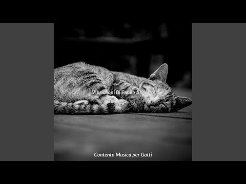 Gatti Rilassanti - Fantasia